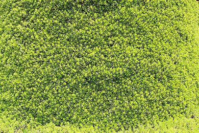 《装甲核心6》最新更新上线 平衡性调整改善稳定性