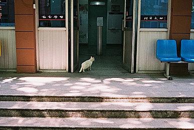 XGP十一月上旬新增游戏公布 《合金弹头：战略版》等